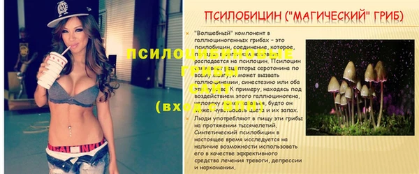 первитин Абинск